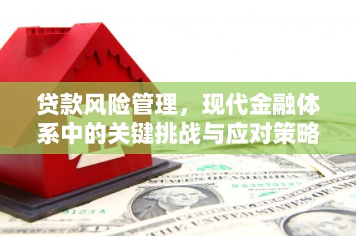白沙贷款风险管理，现代金融体系中的关键挑战与应对策略