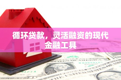 白沙循环贷款，灵活融资的现代金融工具