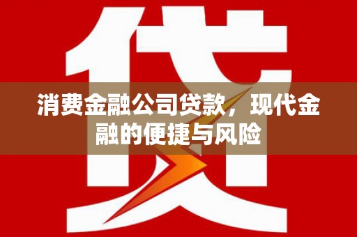 白沙消费金融公司贷款，现代金融的便捷与风险