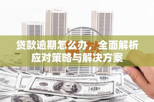 白沙贷款逾期怎么办，全面解析应对策略与解决方案