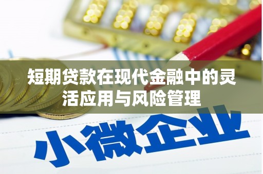 白沙短期贷款在现代金融中的灵活应用与风险管理