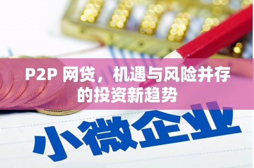 白沙P2P 网贷，机遇与风险并存的投资新趋势
