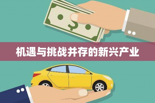 白沙机遇与挑战并存的新兴产业