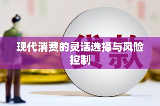 白沙现代消费的灵活选择与风险控制