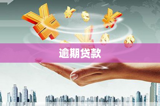 白沙逾期贷款