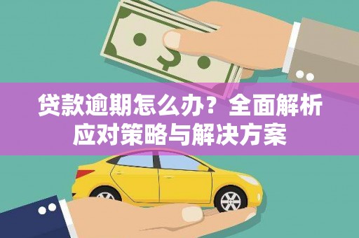 白沙贷款逾期怎么办？全面解析应对策略与解决方案