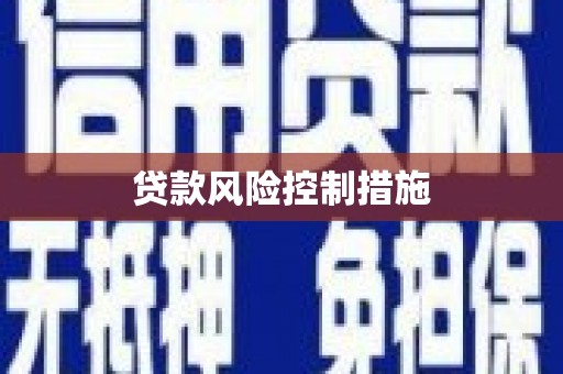白沙贷款风险控制措施
