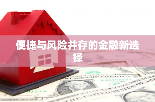 白沙便捷与风险并存的金融新选择