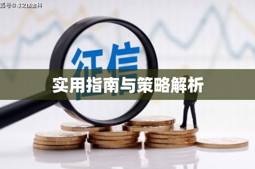 白沙实用指南与策略解析