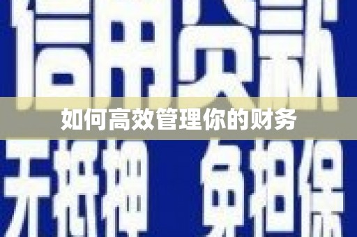 白沙如何高效管理你的财务