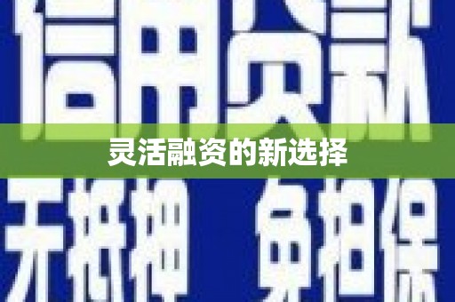 白沙灵活融资的新选择