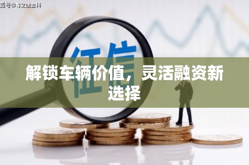 白沙解锁车辆价值，灵活融资新选择