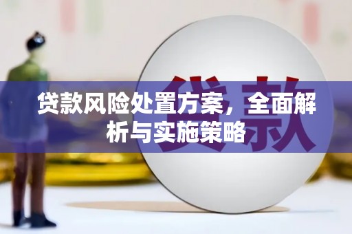 白沙贷款风险处置方案，全面解析与实施策略