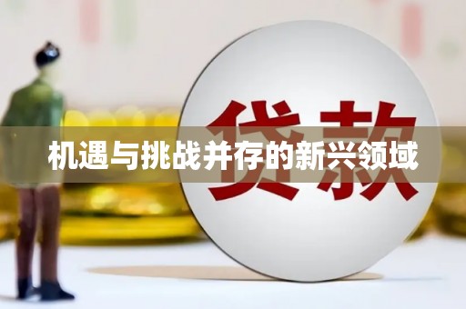 白沙机遇与挑战并存的新兴领域