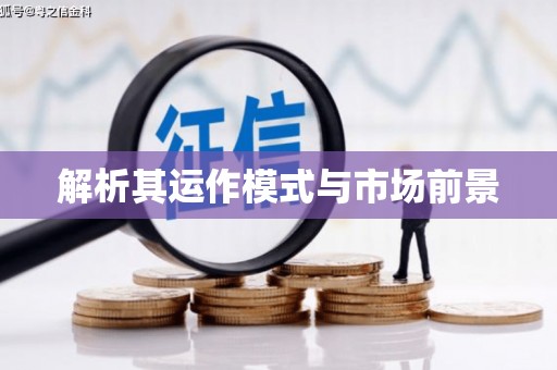 白沙解析其运作模式与市场前景