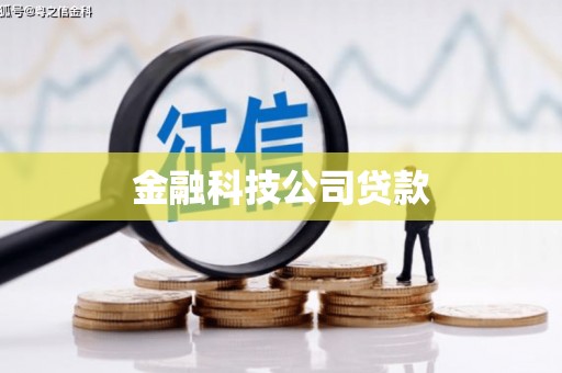 白沙金融科技公司贷款