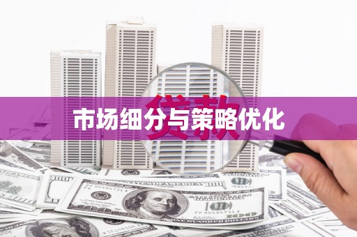 白沙市场细分与策略优化