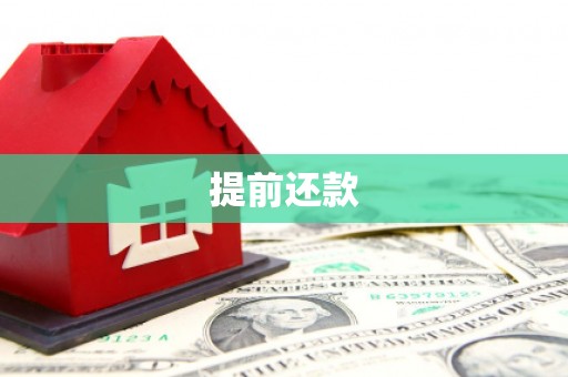 白沙提前还款