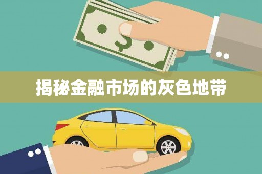 白沙揭秘金融市场的灰色地带