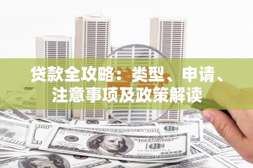 白沙贷款全攻略：类型、申请、注意事项及政策解读