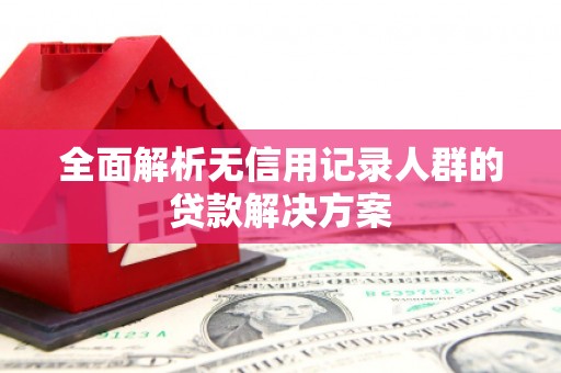 白沙全面解析无信用记录人群的贷款解决方案