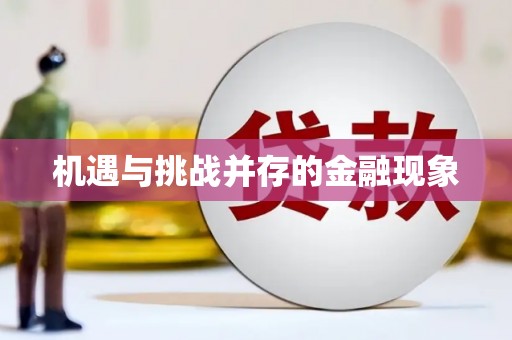 白沙机遇与挑战并存的金融现象